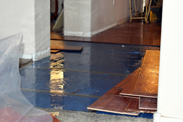 Professional Burst Pipe Cleanup technician working in Tower City, ND